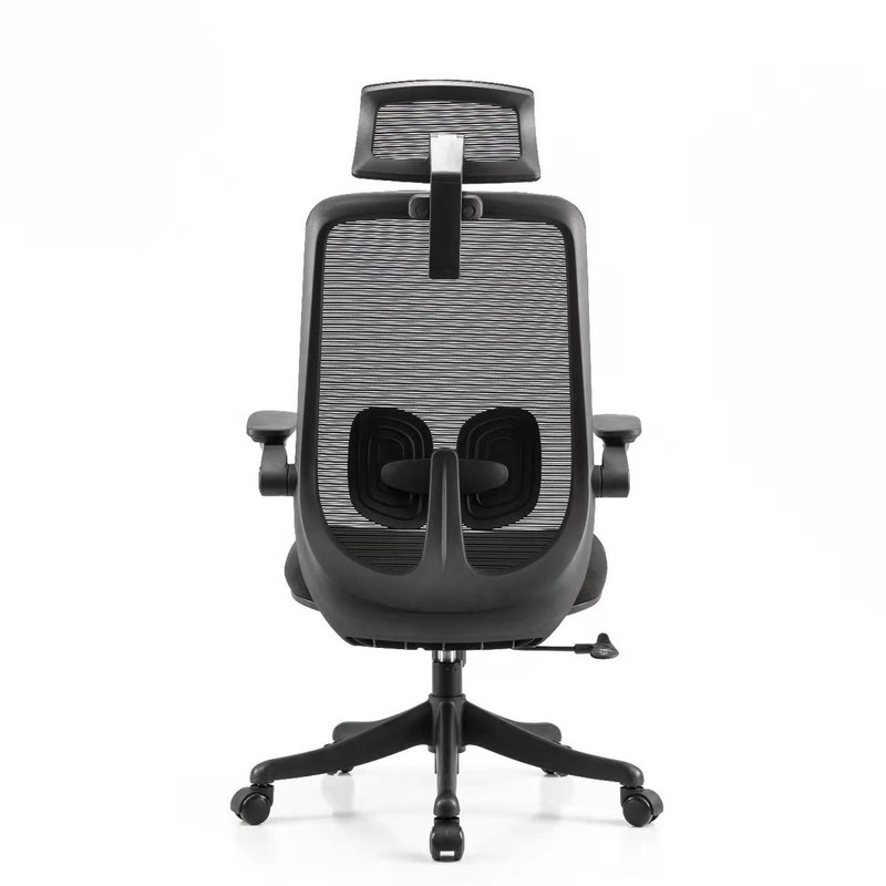 Y-SEATER 3616 পিছন Mesh অফিস এক্সিকিউটিভ চেয়ার Ergonomic সমর্থন জন্য লিফট চেয়ার শৈলী